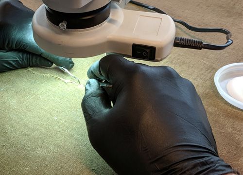 painting conservation