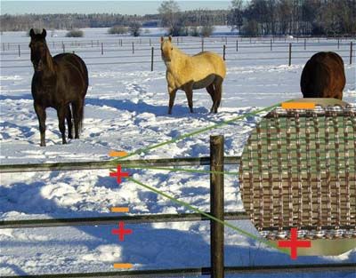Electric fence horse Uppsala