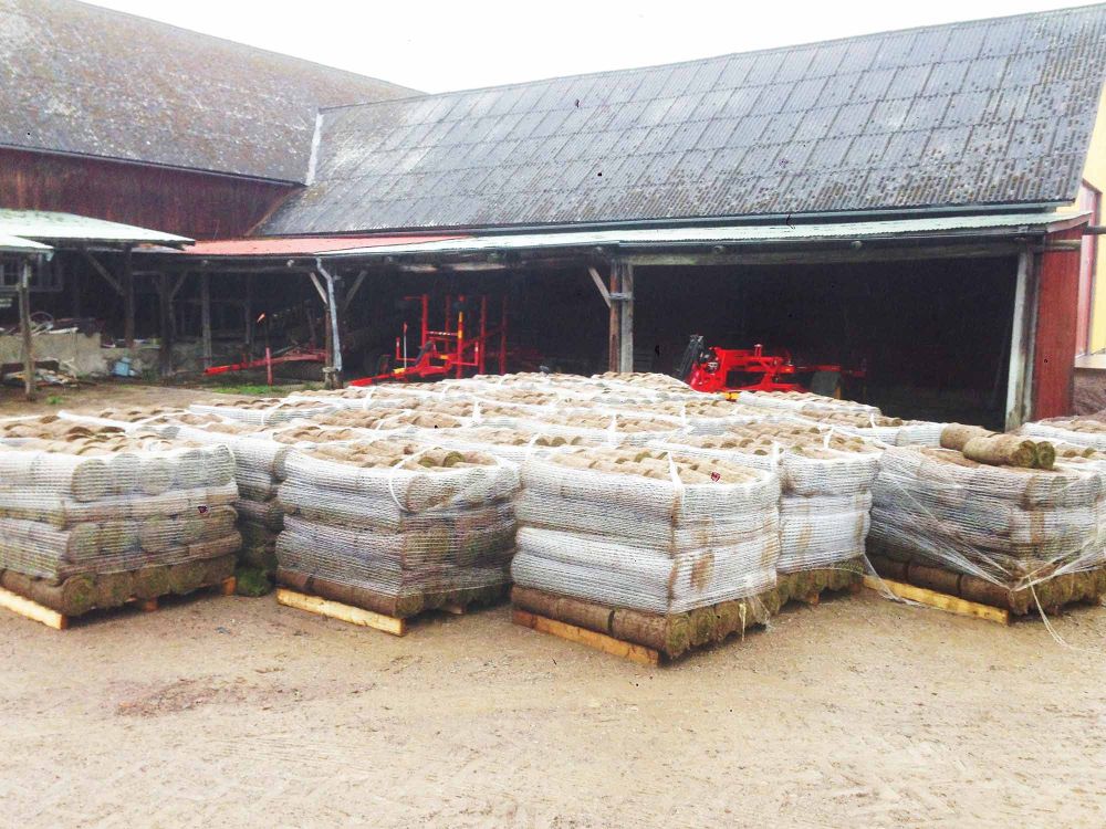 lawn on a roll