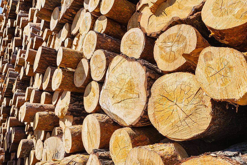 timber karlskrona