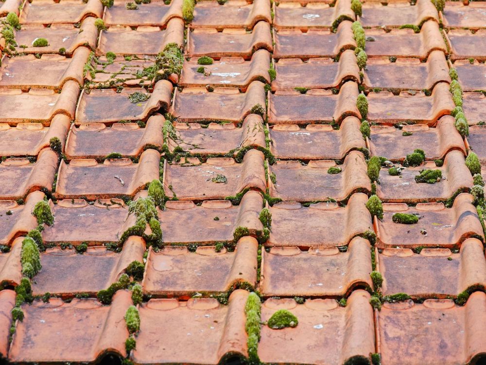 roof cleaning Norrköping