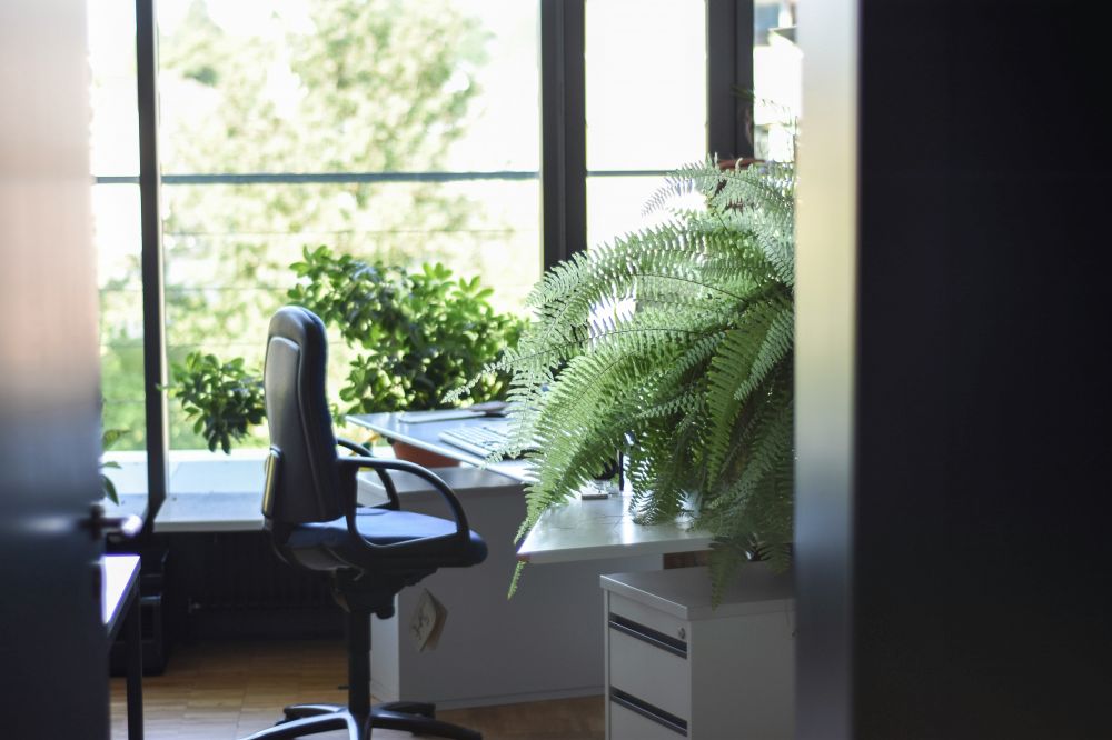 corporate cleaning Varberg