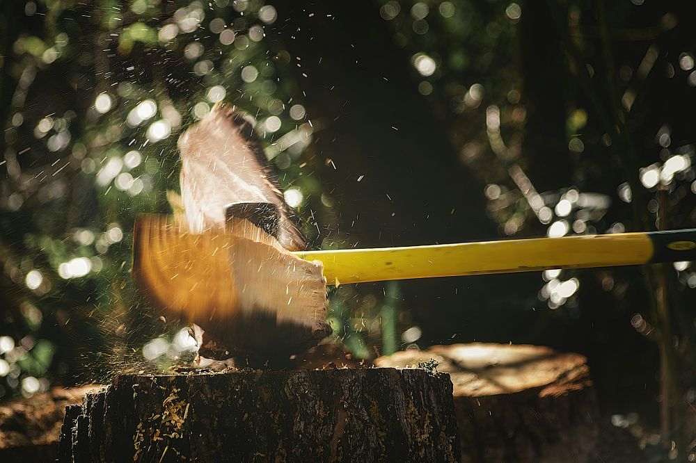Arborist Kungsbacka