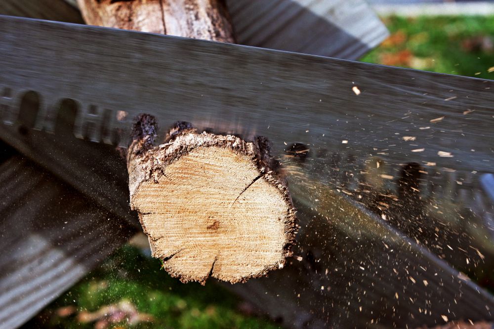 tree felling Kungsbacka