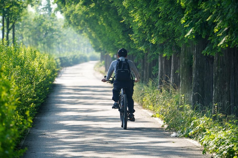 Gravity Cycling