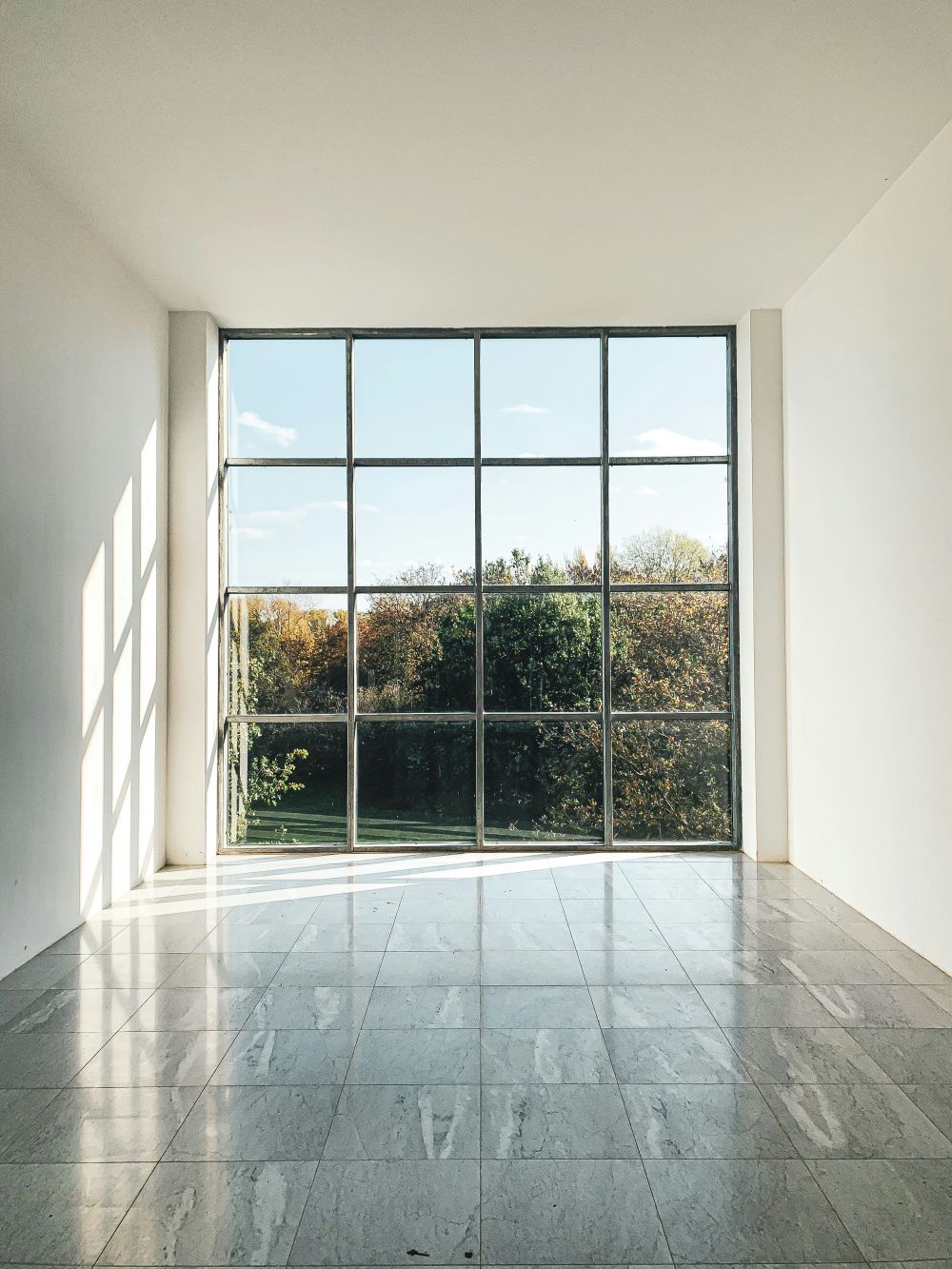 Specialised windows