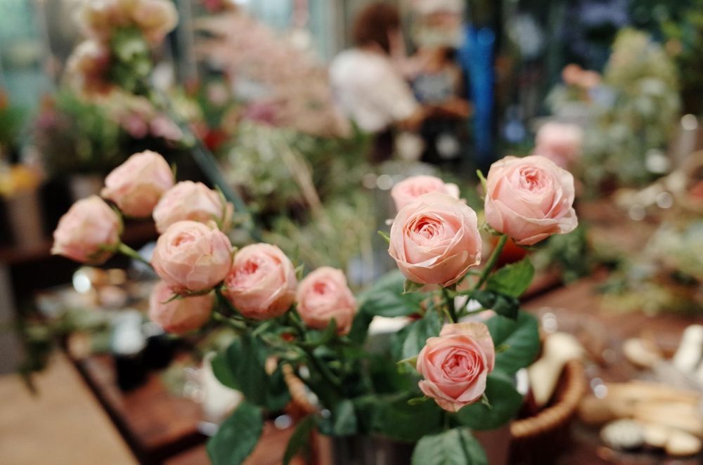 flower shop