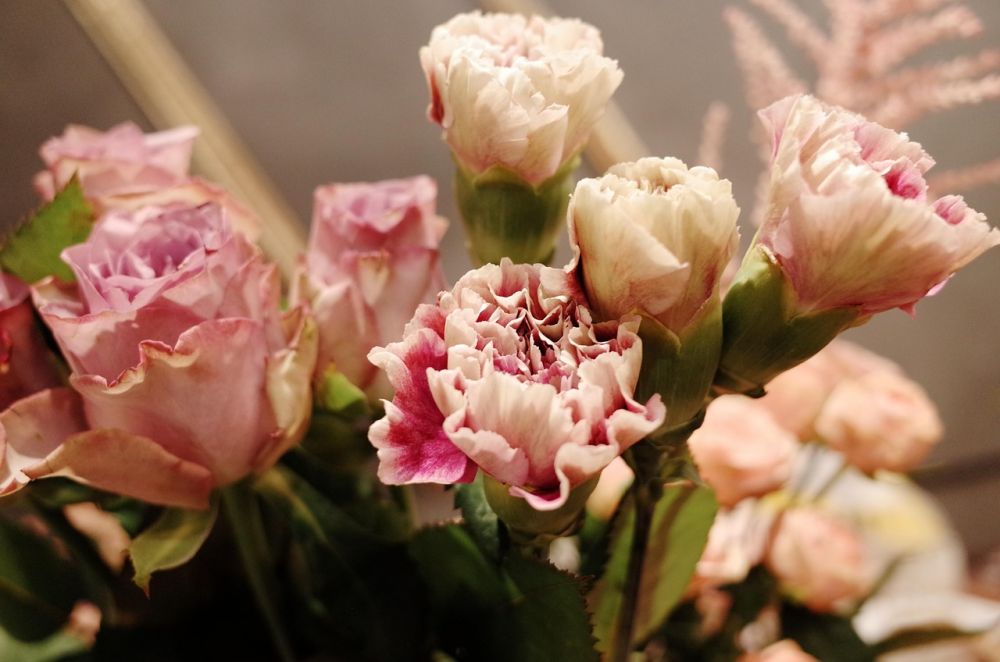 flowers