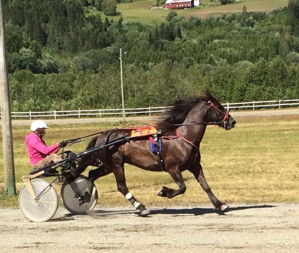 Bitten by a horse