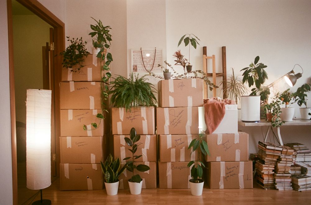 Moving company Vejle