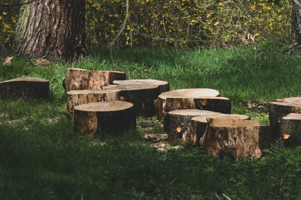 Tree felling Leksand