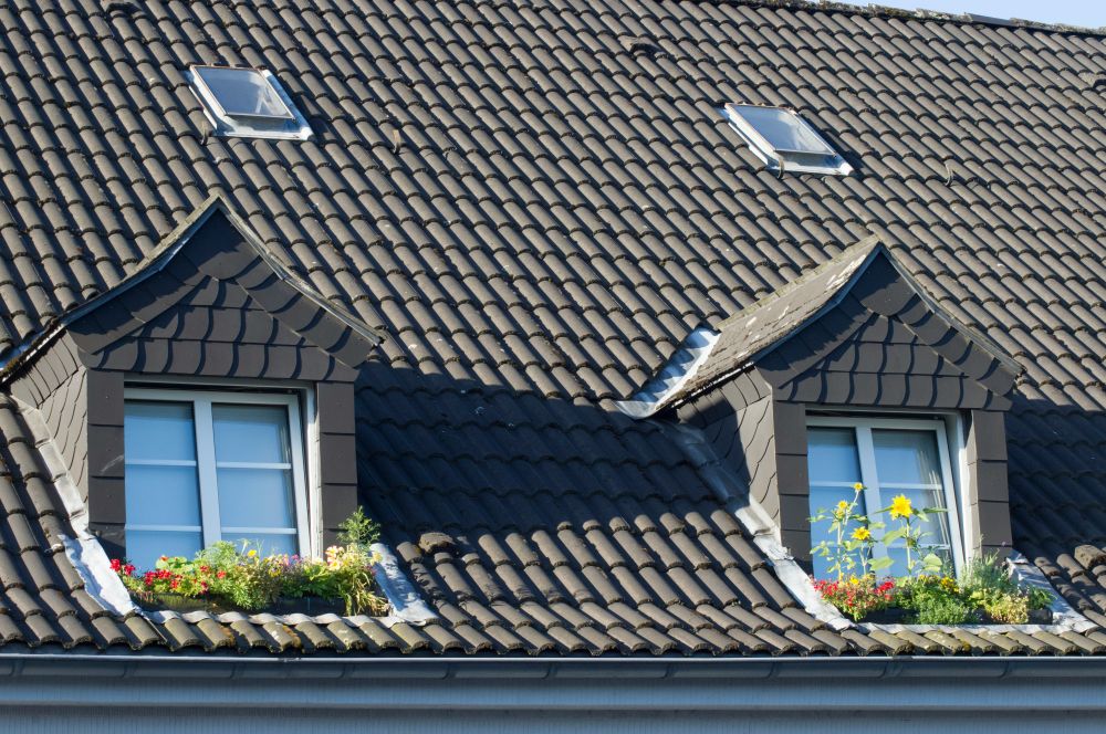 roof cleaning skara