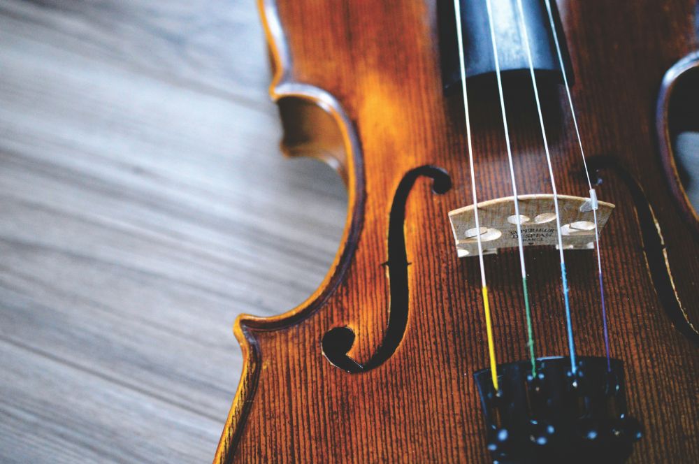 Violin building