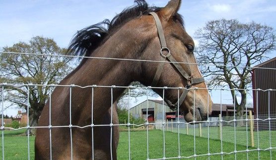 steel fences