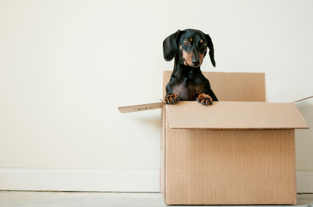 moving company