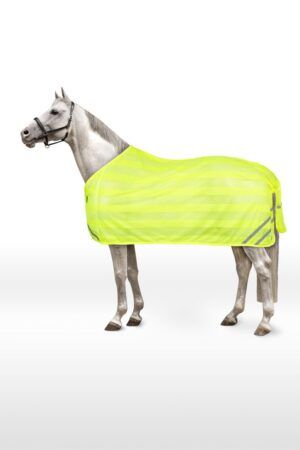 Equestrian equipment