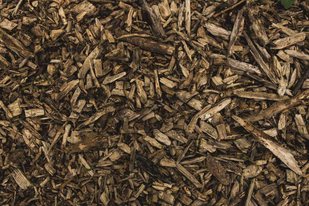 biomass