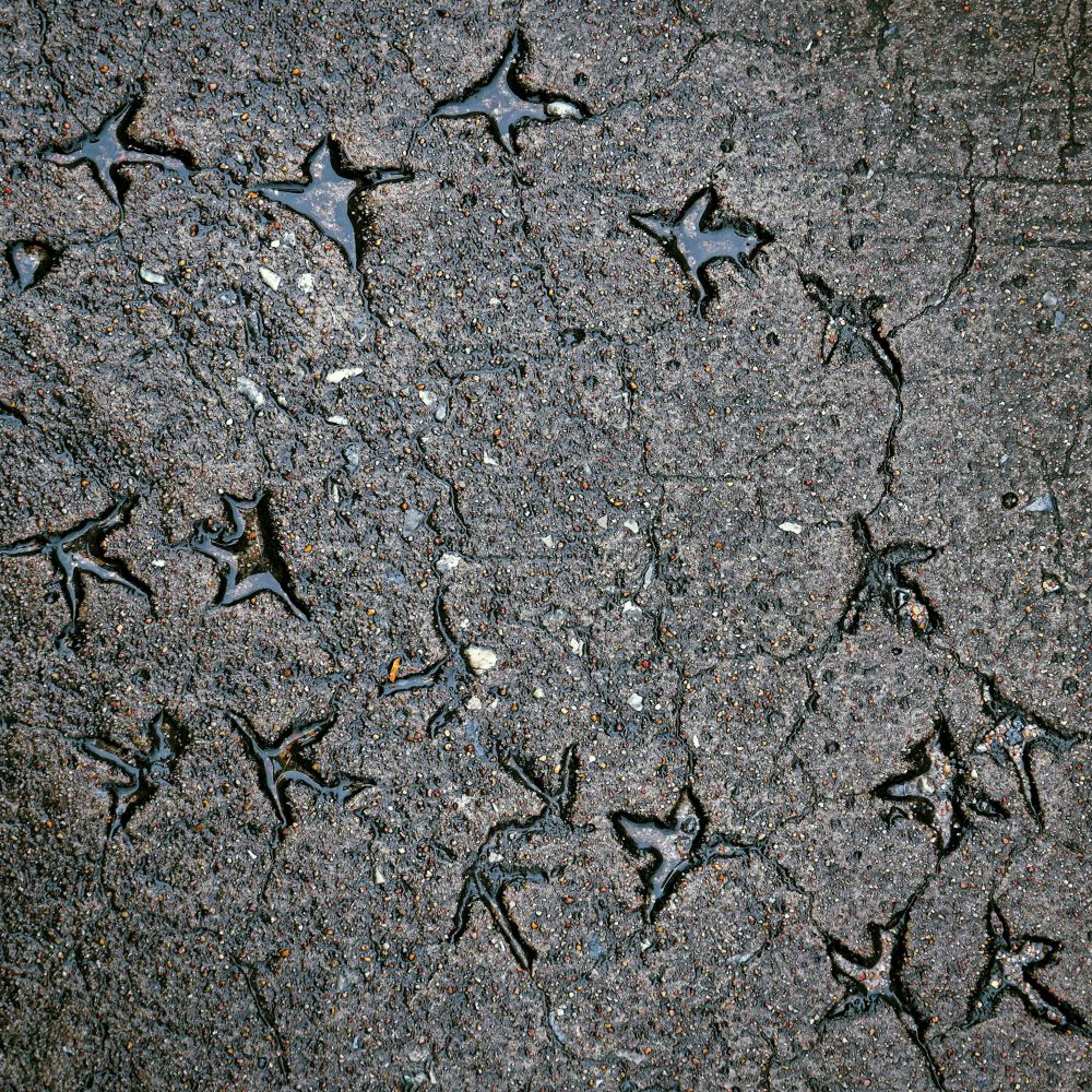 asphalt