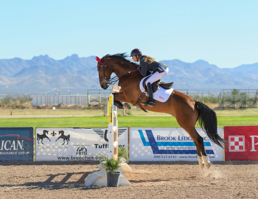 construction of a riding arena