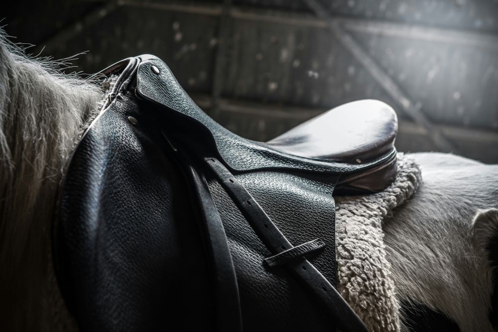 equestrian equipment