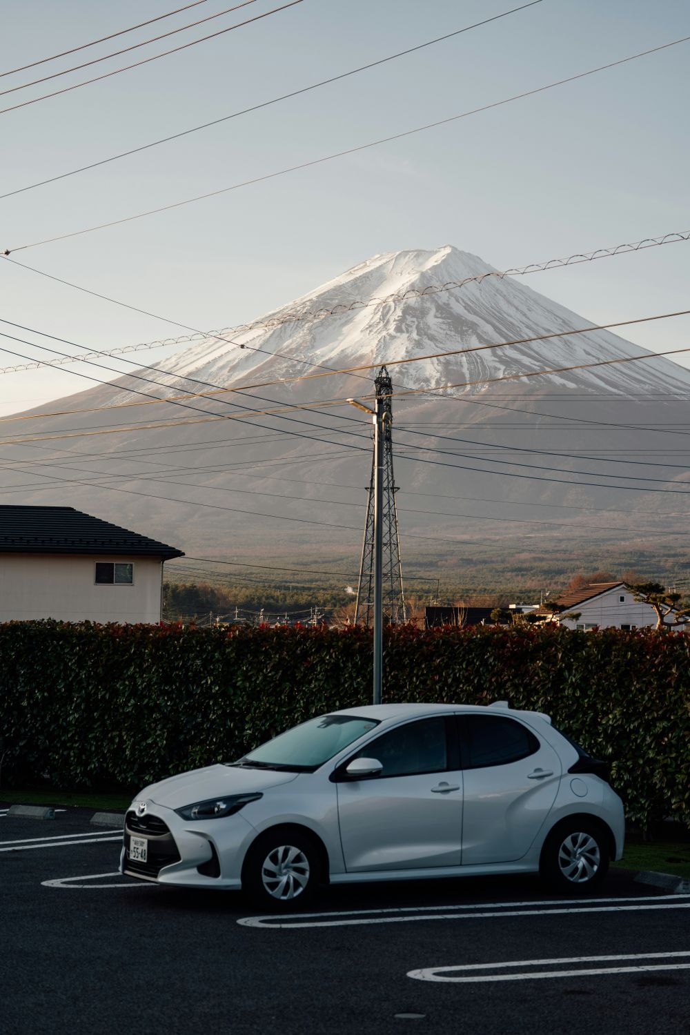 S&auml;songsf&ouml;rberedelser & Klimatanpassning