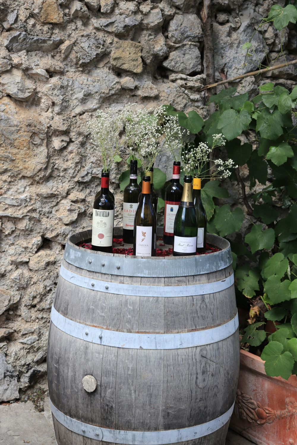 Teknik & Digitalisering