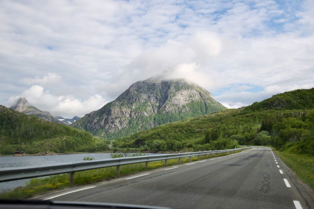 D&auml;ck, fj&auml;dring & v&auml;xell&aring;da