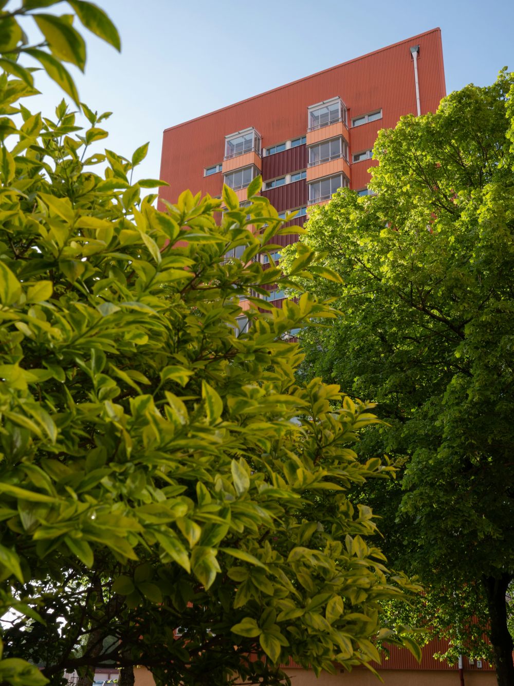 Branschspecifika trender och analyser