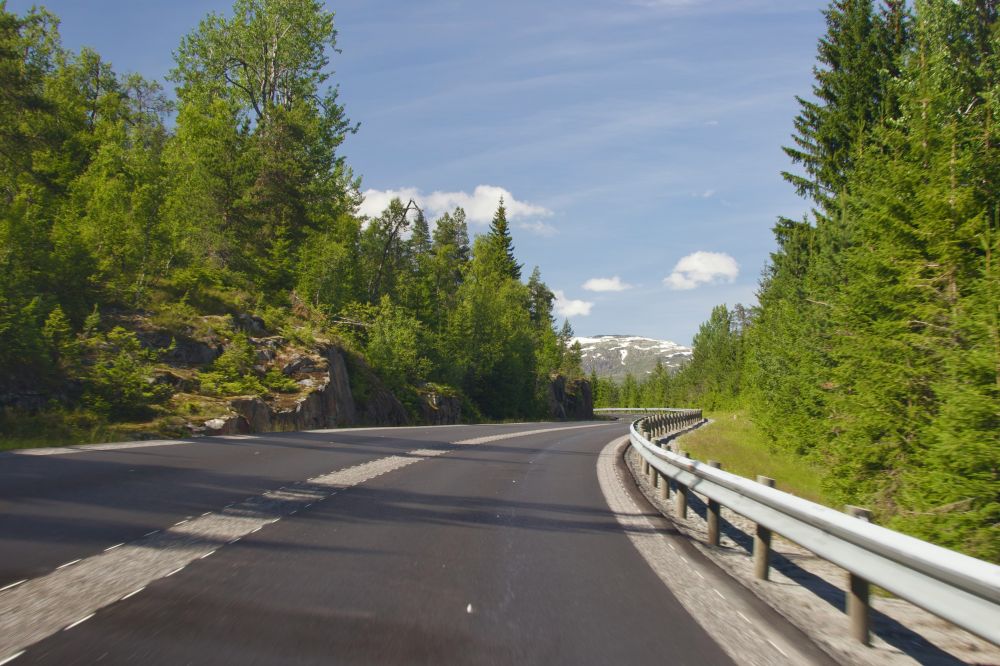 S&auml;songsf&ouml;rberedelser & Klimatanpassning