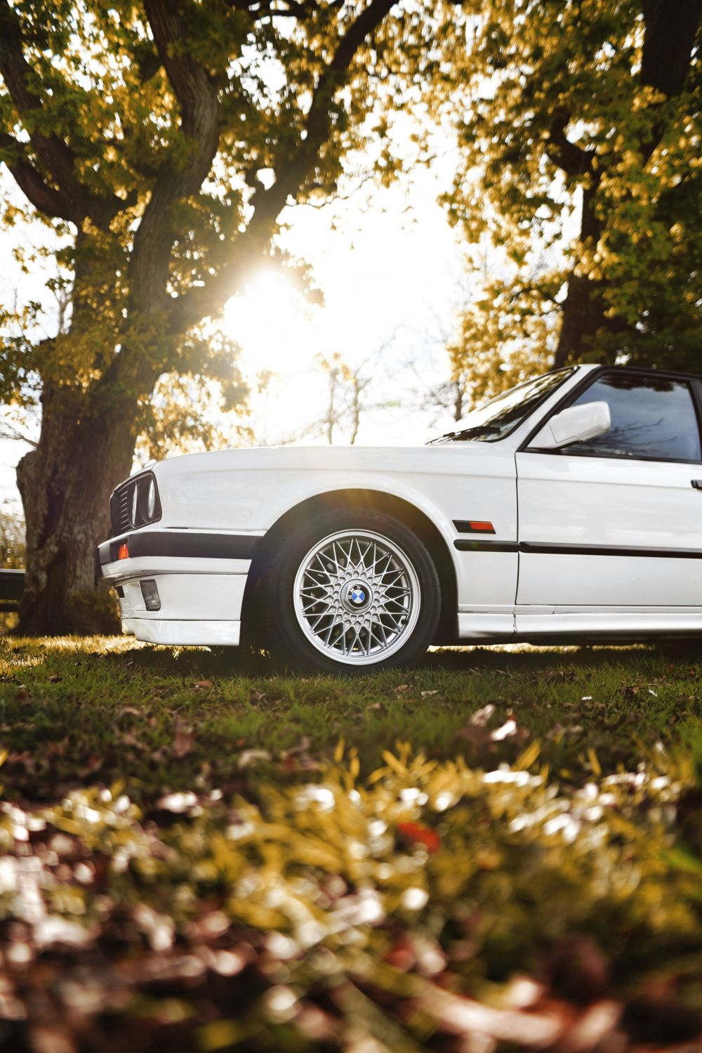 S&auml;songsf&ouml;rberedelser & Klimatanpassning