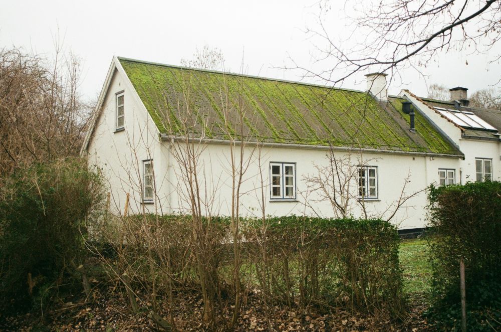 reparation af vinduer
