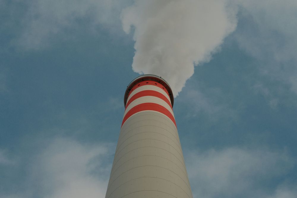 Branschspecifika trender