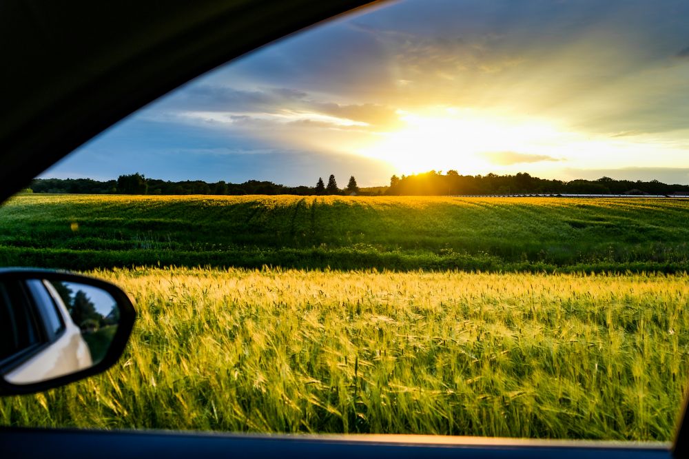 S&auml;songsf&ouml;rberedelser & Klimatanpassning