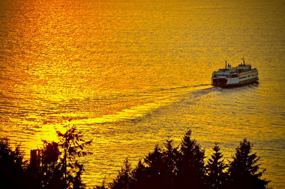 båt till sandhamn från stavsnäs