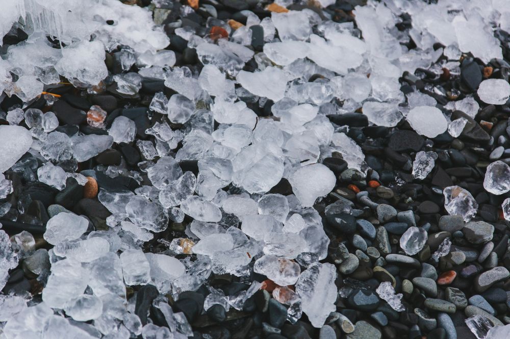 S&auml;songsf&ouml;rberedelser & Klimatanpassning