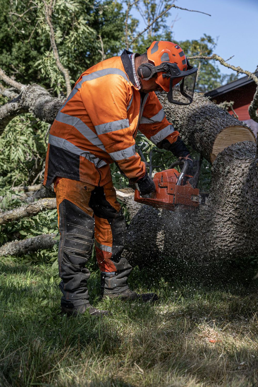 Trädfällning Onsala