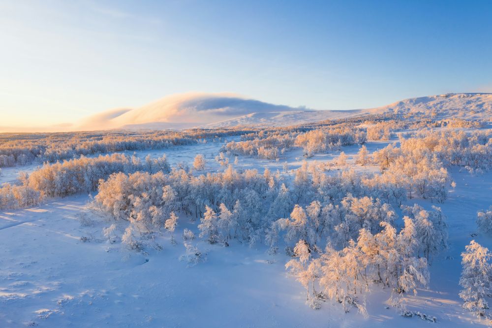 Konferens Dalarna