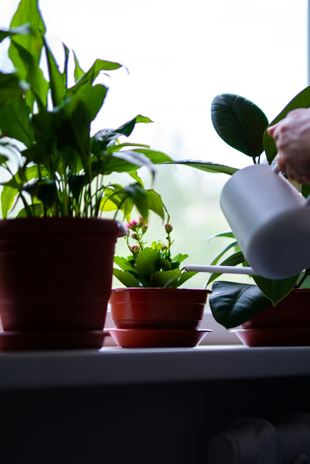 DIY & Makerprojekt