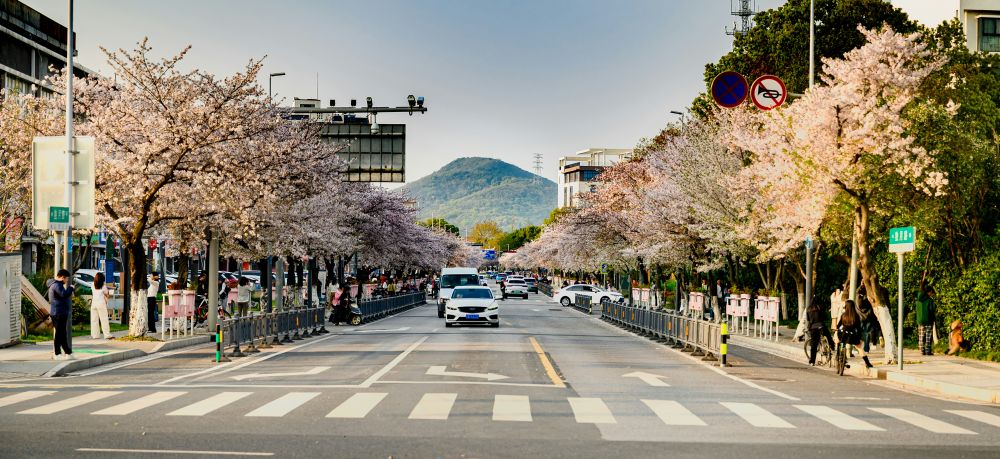 S&auml;songsf&ouml;rberedelser & Klimatanpassning