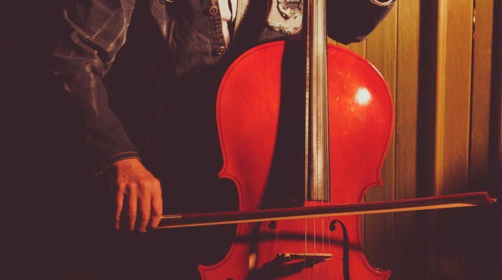 Kontrabas Reparation