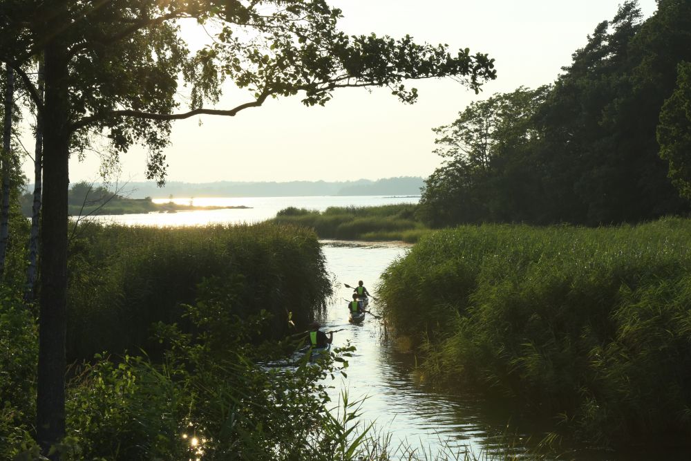 Hemf&ouml;rs&auml;kring Blekinge