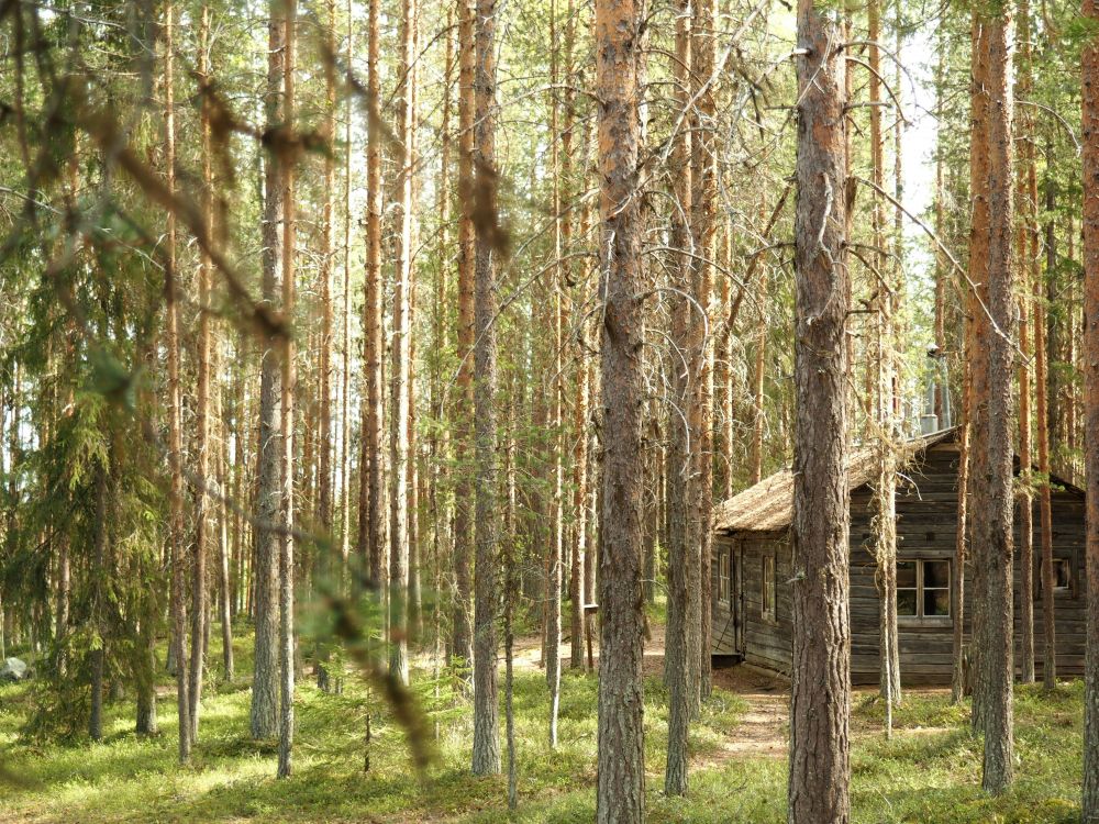 Hyra boende Ottsjö