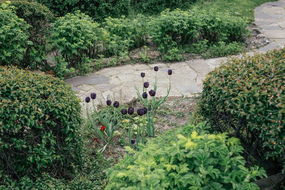 anl&aelig;gsgartner Kolding