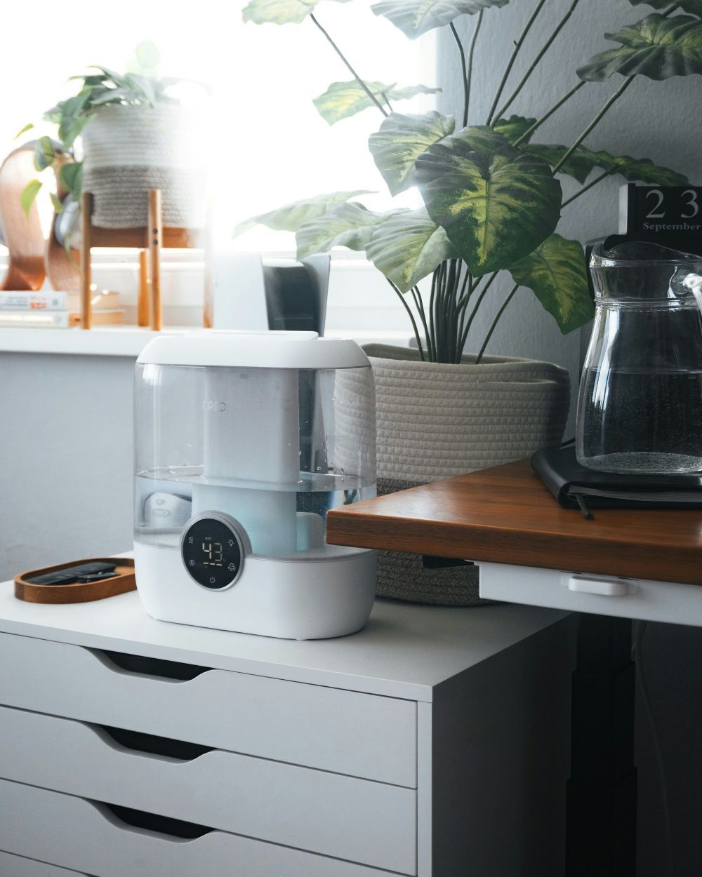Smarta Hem & IoT