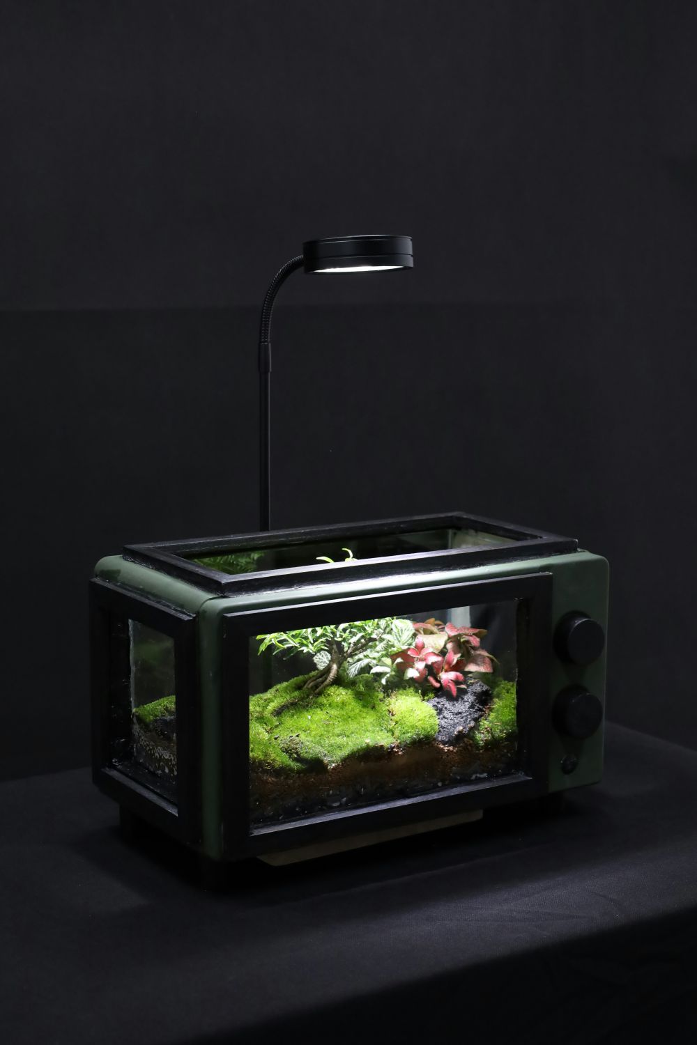 DIY & Makerprojekt