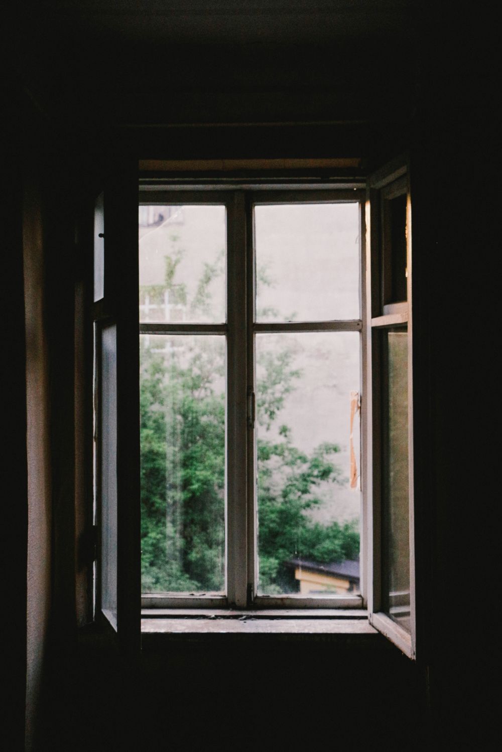 fönster