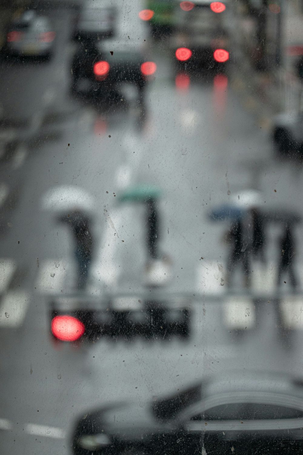 S&auml;songsf&ouml;rberedelser & Klimatanpassning