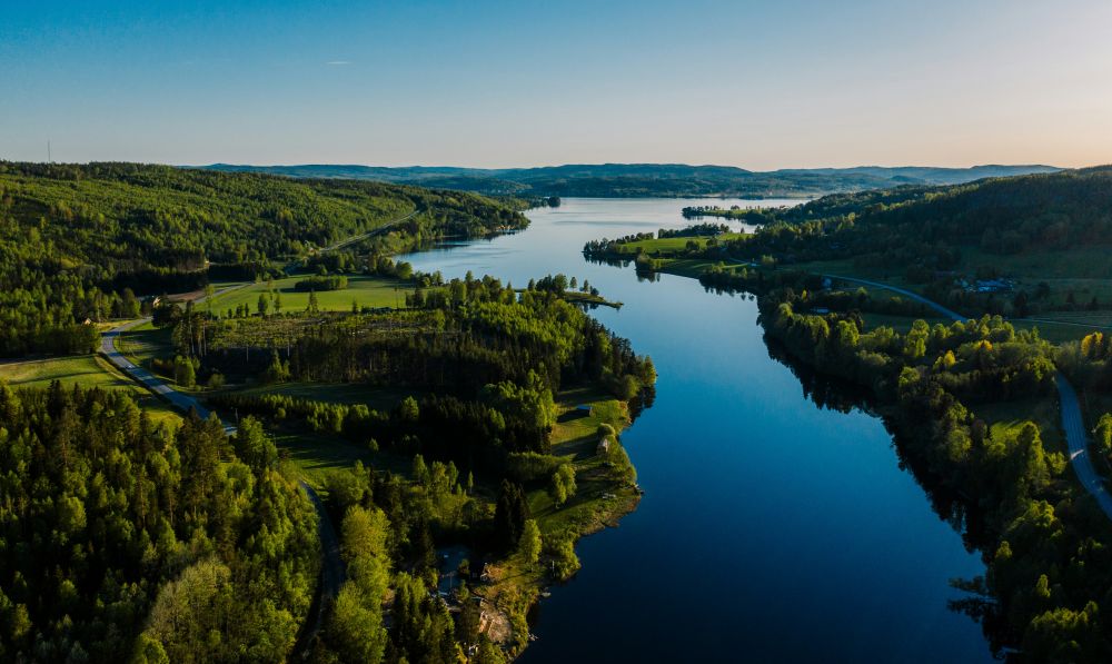 invasiva växter skåne