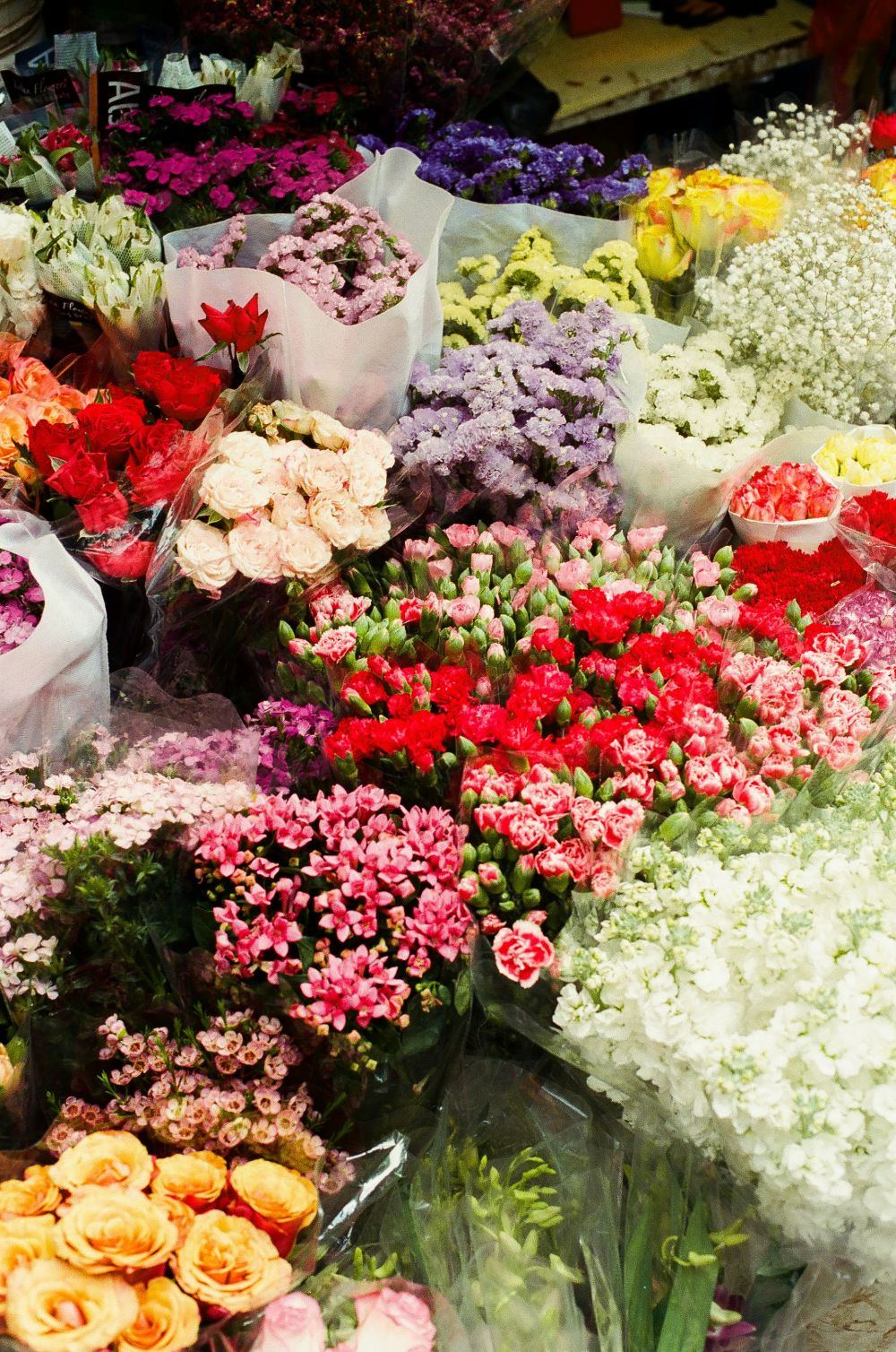 blomsterbutikk