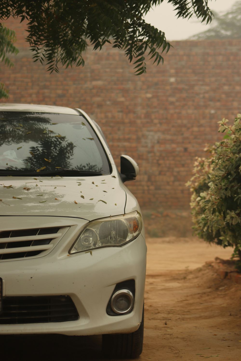 Bilunderhåll & Service